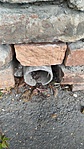 IMG_20210904_115708