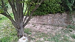 IMG_20210905_192407