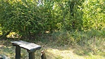 IMG_20210912_132952