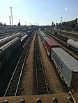 20210925_034452(du.)___[org]