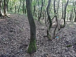 IMG_20210903_164655