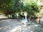 DSC02939