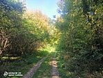 IMG_20210912_135425