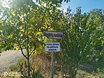IMG_20210918_102125