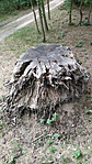 IMG_20210829_152449