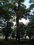 P9043502