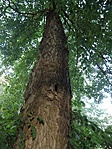 P9043507