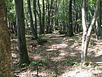P9113761
