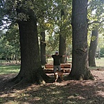 IMG_20210905_150448