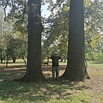 IMG_20210905_150537