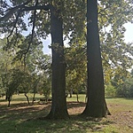 IMG_20210905_150557