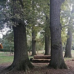 IMG_20210905_150701