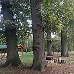 IMG_20210905_150717