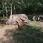 IMG_20210905_151127