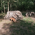 IMG_20210905_151130