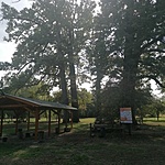IMG_20210905_151306