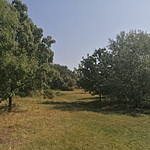 IMG_20210905_105854