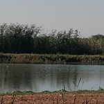 IMG_20210912_095640