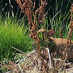 IMG_20210912_100012