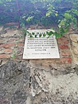 IMG_20210902_133049