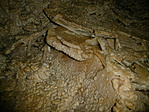 P1030259