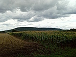 IMG_20210828_124612