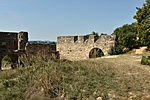 HER_7853_tn