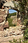 HER_7848_tn