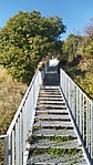 IMG_20211024_113617