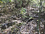 IMG_20211016_125843