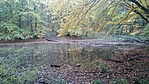 Tavacska