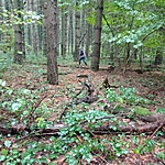 245602136_611005233394658_5511041646958387635_n