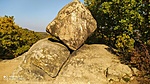IMG_20211030_132719