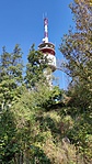 IMG_20211009_135257