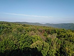 IMG_20211003_111922