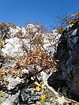 IMG_20211024_123656