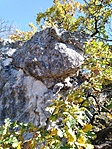 IMG_20211024_123655