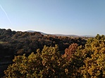 IMG_20211029_153413