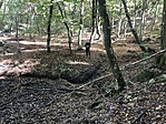 IMG_3165