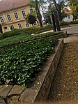 IMG_20211002_142621