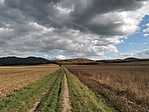 IMG_20211023_143423