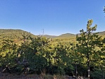 IMG_20211009_092029
