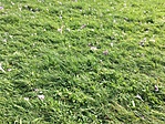 IMG_5441