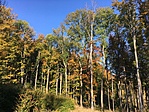 IMG_5572