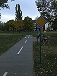 IMG_5600