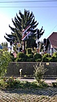 IMG_20211017_112217