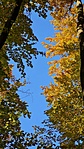 2021-10-30 14.05.32R