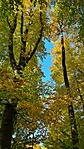 2021-10-30 14.05.26R
