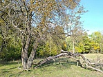 1635007625834