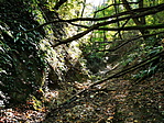 IMG_20211015_145421_resize_2